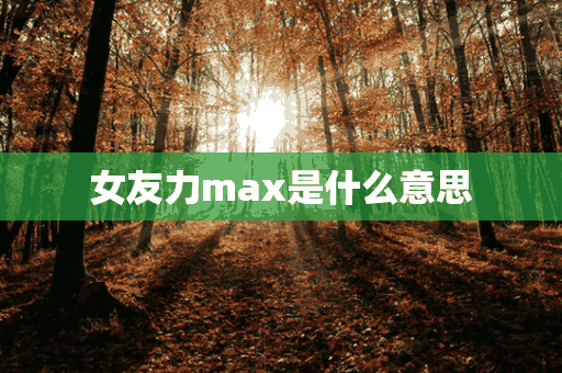 女友力max是什么意思(女生说男友力max是什么意思)